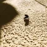 How to Create Realistic Shadows in Photoshop Made Easy