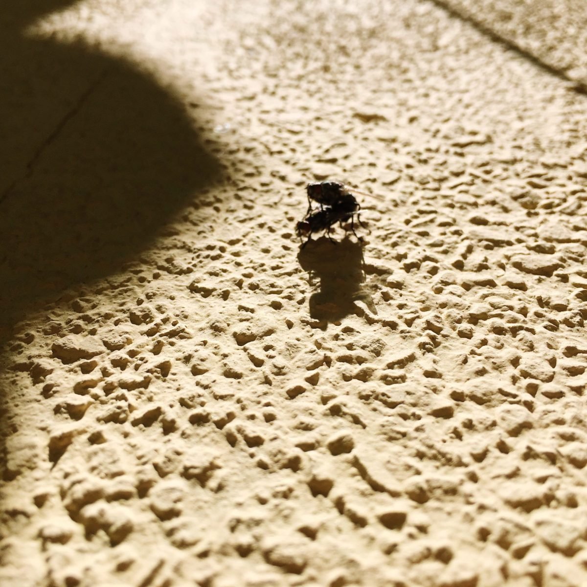 How to Create Realistic Shadows in Photoshop