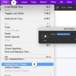 A Guide to Photoshop Brushes and Customization Essentials