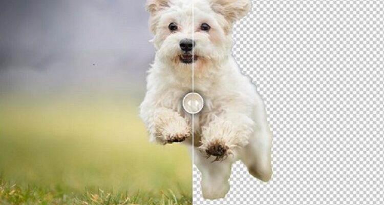 How to Remove Backgrounds in Photoshop Made Easy