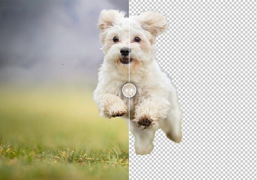 Background photoshop remove elements pictures wallpapersafari How to Remove Backgrounds in Photoshop