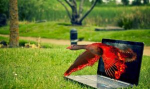 Common Photoshop Mistakes and How to Avoid Them