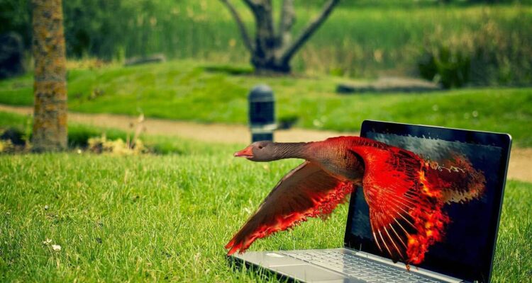 Common Photoshop Mistakes and How to Avoid Them