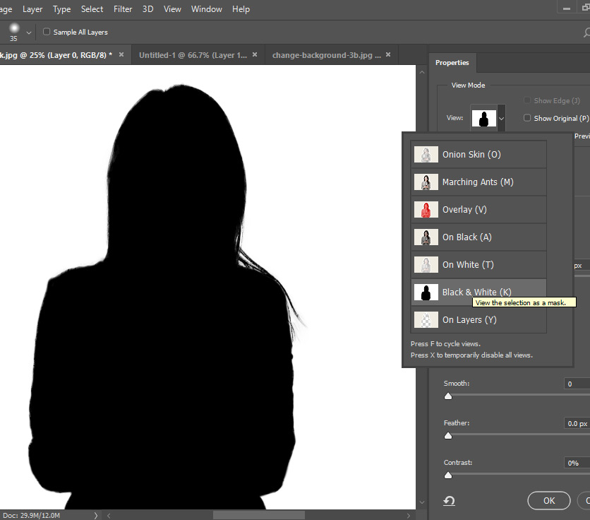 Photoshop mask select use selection make brush manual clean tool up Understanding Masks and Selections in Photoshop