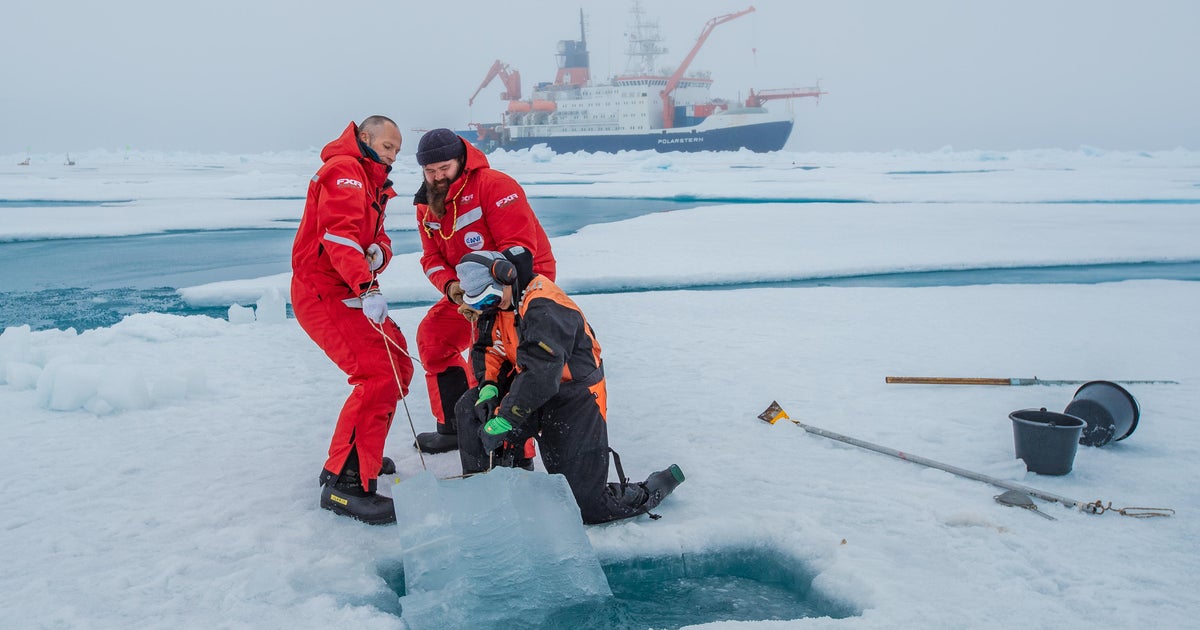 Arctic ice scientists rapidly stunned melting how Scientists Warn of Rapid Arctic Ice Melt