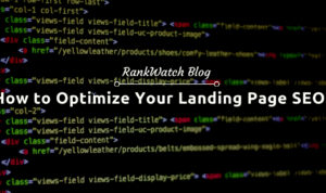 How to Optimize Landing Pages with the Help of an SEO Consultant