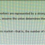 Labor Union Demands Better Working Conditions Now