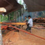 Government Cracks Down on Illegal Logging Initiatives