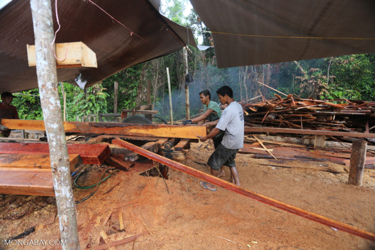 Logging illegal origin thwart tracing technologies five help borneo station wood butler rhett credit Government Cracks Down on Illegal Logging