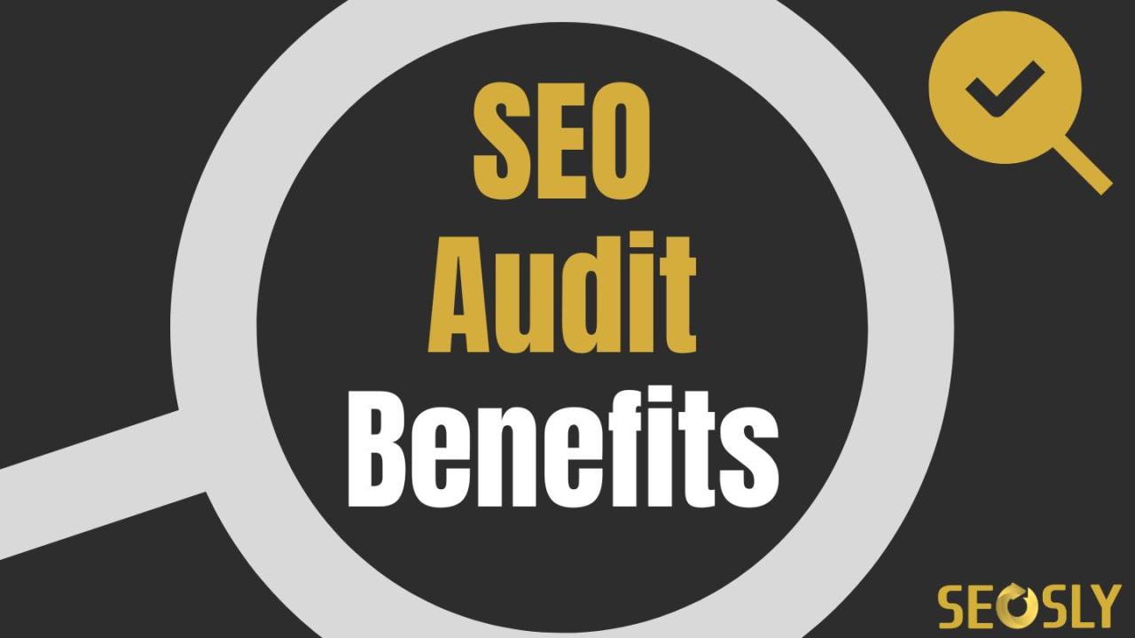 The Benefits of Regular SEO Health Checks by a Consultant